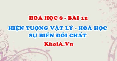 Sự biến đổi chất là gì? Ví dụ về sự biến đổi chất, hiện tượng vật lý và hiện tượng hoá học - Hoá 8 bài 12